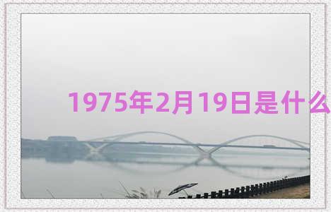 1975年2月19日是什么星座