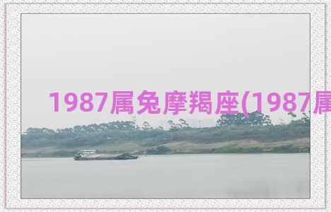 1987属兔摩羯座(1987属兔婚姻)