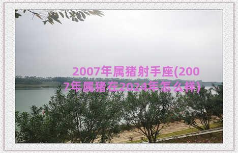 2007年属猪射手座(2007年属猪在2024年怎么样)