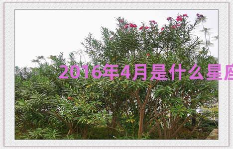 2016年4月是什么星座