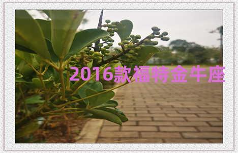 2016款福特金牛座