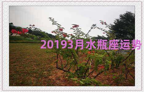 20193月水瓶座运势