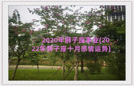 2020年狮子座事业(2022年狮子座十月感情运势)