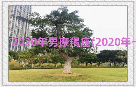 2020年男摩羯座(2020年一月摩羯女)