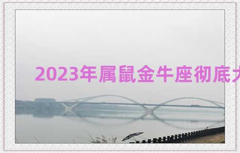 2023年属鼠金牛座彻底大爆发