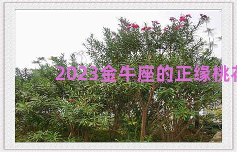 2023金牛座的正缘桃花