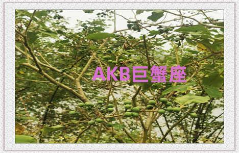 AKB巨蟹座