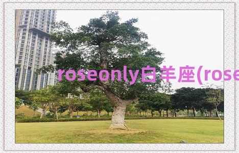 roseonly白羊座(roseonly)