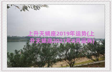 上升天蝎座2019年运势(上升天蝎座2021年8月运势)