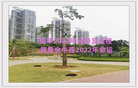 兔年2022年运势及运程,属兔金牛座2022年命运