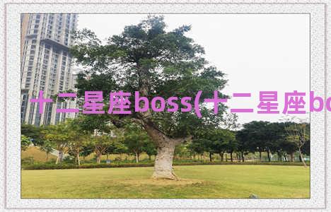 十二星座boss(十二星座boss动画片)