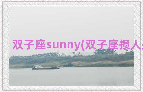 双子座sunny(双子座损人是喜欢吗)