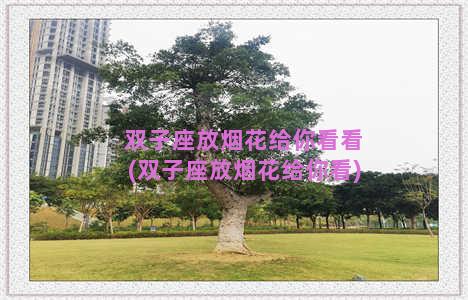 双子座放烟花给你看看(双子座放烟花给你看)