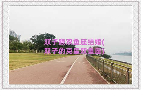 双子跟双鱼座结婚(双子的克星双鱼座)