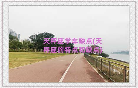 天秤座学车缺点(天秤座的特点和缺点)