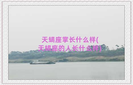 天蝎座掌长什么样(天蝎座的人长什么样)