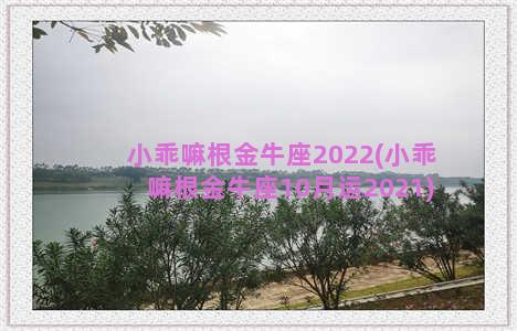 小乖嘛根金牛座2022(小乖嘛根金牛座10月运2021)