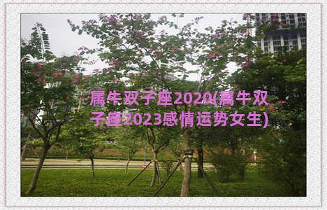 属牛双子座2020(属牛双子座2023感情运势女生)