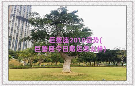 巨蟹座2010运势(巨蟹座今日赌运怎么样)