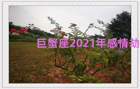 巨蟹座2021年感情劫