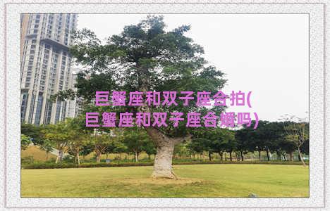 巨蟹座和双子座合拍(巨蟹座和双子座合婚吗)