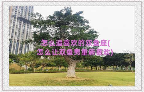 怎么追喜欢的双鱼座(怎么让双鱼男重新喜欢)