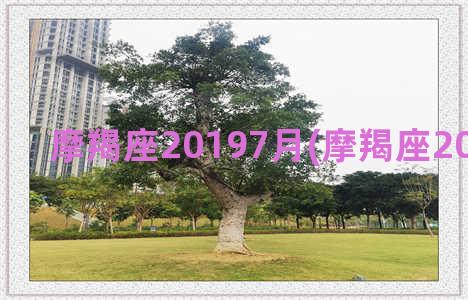 摩羯座20197月(摩羯座2017年运势)