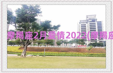 摩羯座2月爱情2022(摩羯座对待爱情)