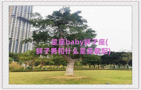 星座baby狮子座(狮子男和什么星座最配)