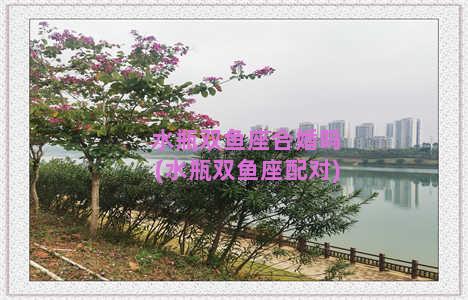 水瓶双鱼座合婚吗(水瓶双鱼座配对)