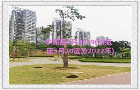 水瓶座5月2019(水瓶座5月20运势2022年)