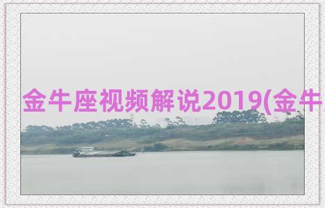 金牛座视频解说2019(金牛座的视频)